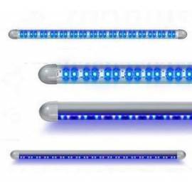 LEDS