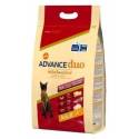Advance Duo Adult Carne