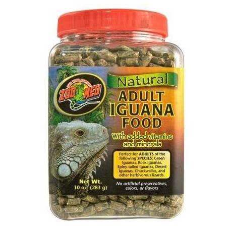Zoomed Natural Comida Iguana Adulta