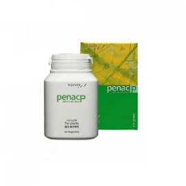ADA Penac-P 200gr (Plants)