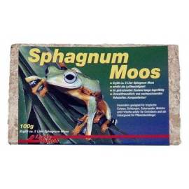 Lucky Reptile Musgo Sphagnum