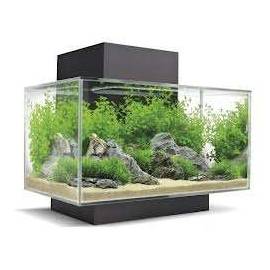 Fluval Edge 23 L