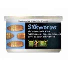 Exo Terra Silkworms