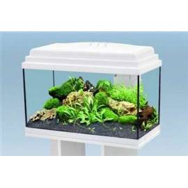 Acuario Bermudes