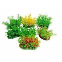 Tropical Plants 8cm