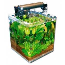 Wave Box Cubo 25