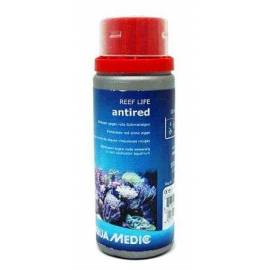 Reef Life Antired