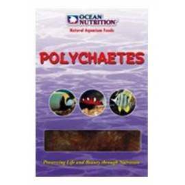 Ocean Nutrition Polychaetes