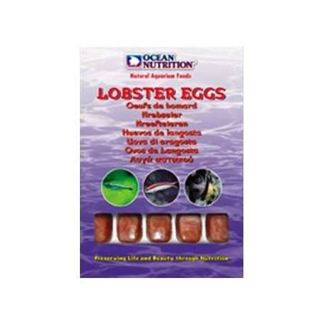 Ocean Nutrition Lobster Eggs
