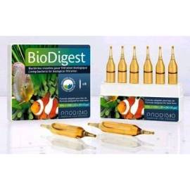 Prodibio BioDigest