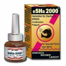 eSHa 2000