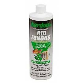 Kordon Rid Fungus