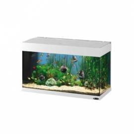 Acuario Dubai 80