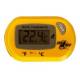 Zoomed Digital Thermometer