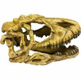 ICA Cráneo Dinosaurio Resina