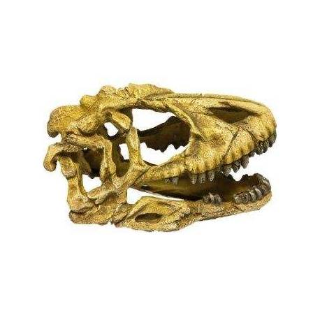 ICA Cráneo Dinosaurio Resina