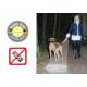  Patento Pet Dog-e-Lite Correa con Linterna LED incorporada