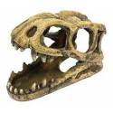 ICA Cabeza Fósil Tiranosaurio Rex