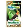 Manitoba Austral Asian Parakeets