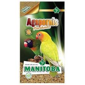 Manitoba Agapornis Parakeets