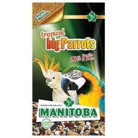 Manitoba Big Parrots Tropical