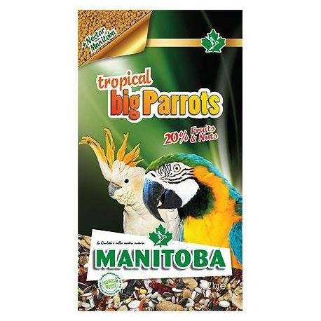 Manitoba Big Parrots Tropical