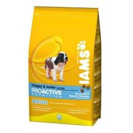 IAMS Puppy&Junior(Large)