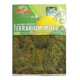 Zoomed Terrarium Moss