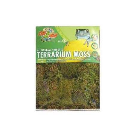 Zoomed Terrarium Moss