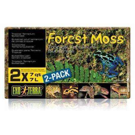 Exo Terra Forest Moss